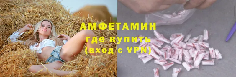 Amphetamine Premium  продажа наркотиков  Новодвинск 