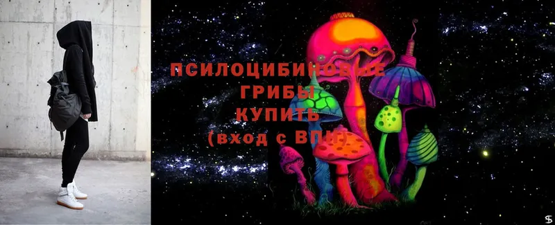 Галлюциногенные грибы MAGIC MUSHROOMS  закладки  Новодвинск 